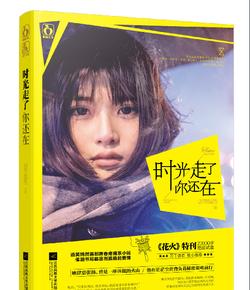 宋教仁遇刺，二次革命失败，黄兴与孙文不合离开，陈英士成二把手