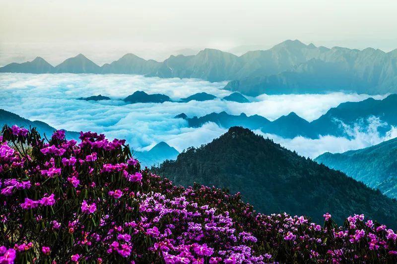 立足岗位做贡献 | 冬寒雪冷有暖景 政务服务润人心